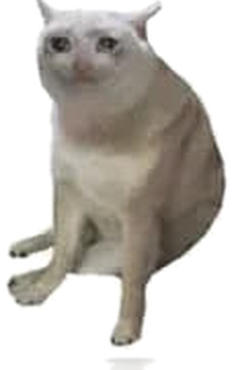 the assembled cash cat