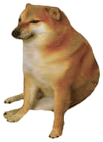 the cheems dog, sitting